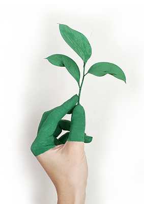 pintura de manos ecologica